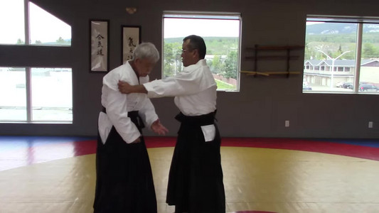 06-ryokatadori-sokumen-iriminage-variation