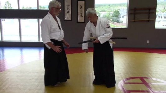 07-ryokatadori-sokumen-iriminage-variation