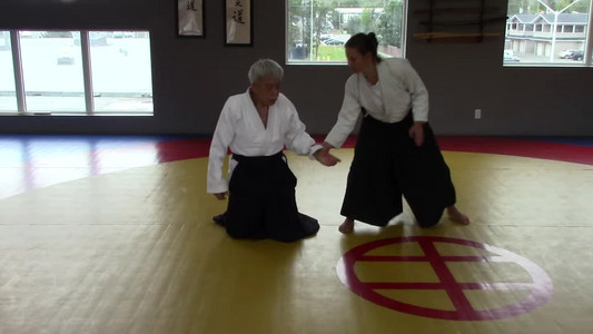12-hanmihandachi-katatedori-nikkyo