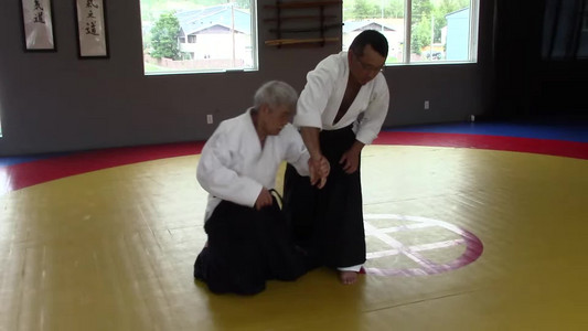 15-hanmihandachi-katadori-sankyo
