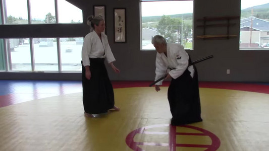 17-hanmihandachi-katatedori-shihonage-with-katana