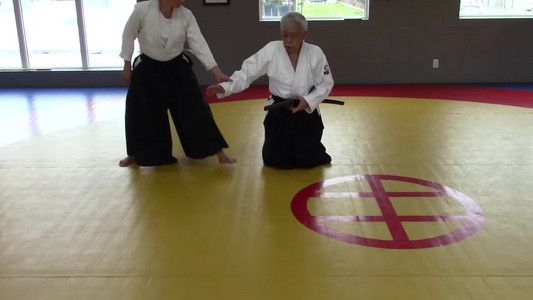 19-hanmihandachi-katatedori-shihonage-with-katana