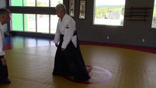 07-randori-throwing