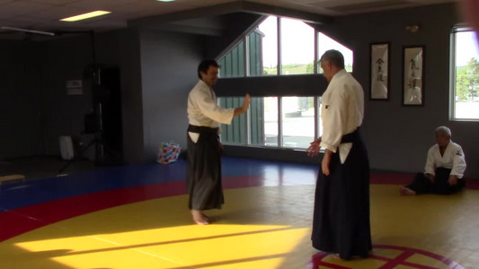 17-kubishime-koshinage-variation