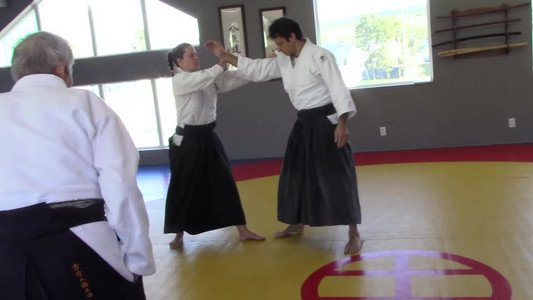 05-katadorimenuchi-twist-waza