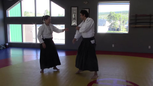 06-katadorimenuchi-twist-waza