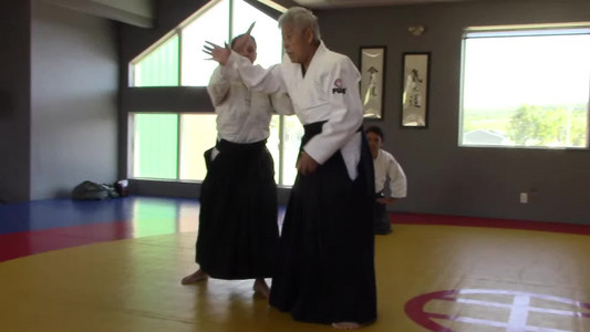 07-katadorimenuchi-twist-waza
